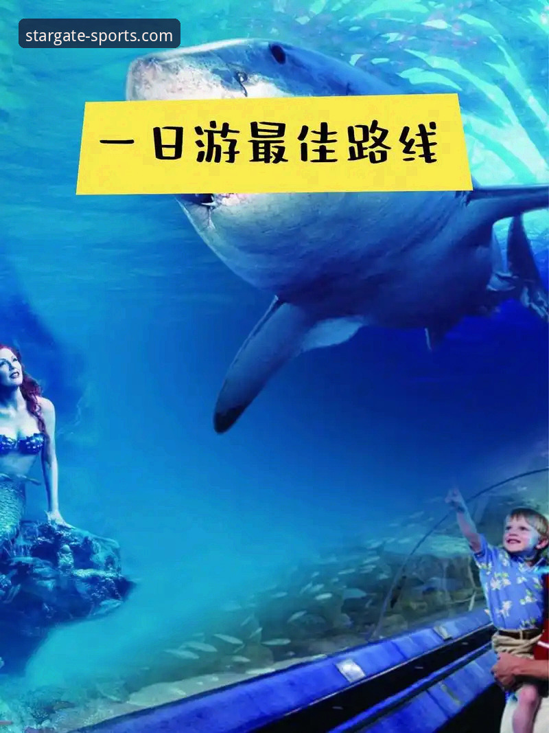 星空体育平台使用详解：从下载到注册的完整心得分享